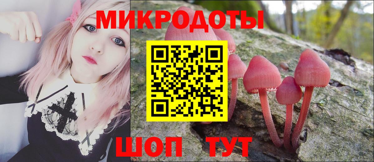 Галлюциногенные грибы Psilocybe Елизово